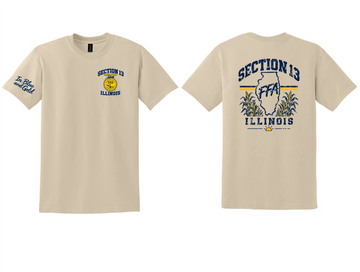 Section 13 FFA